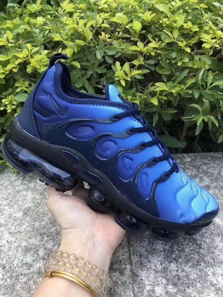 Nike Air Max TN Plus men shoes-740