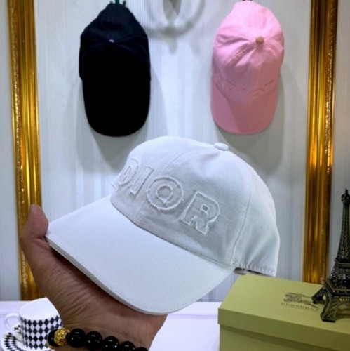 Dior Hats AAA-101