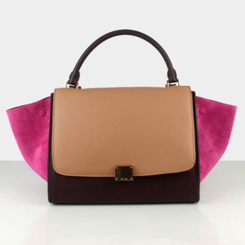 Celine handbags AAA-311