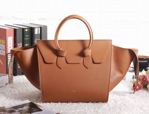Celine handbags AAA-347