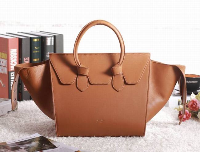 Celine handbags AAA-347