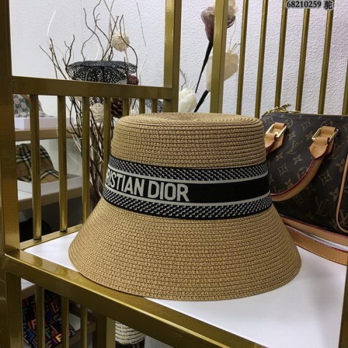 Dior Hats AAA-527