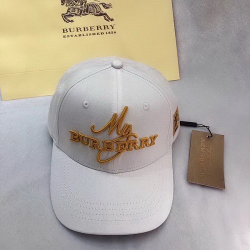 Burrerry Hats AAA-228