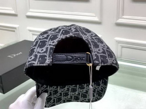 Dior Hats AAA-244