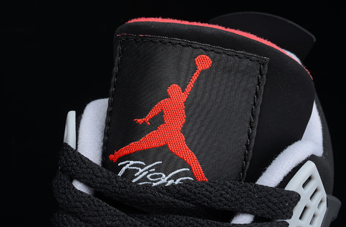 Perfect Air Jordan 4 shoes-004