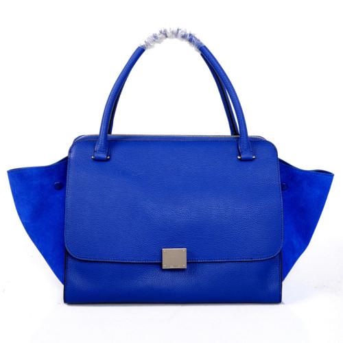 Celine handbags AAA-313