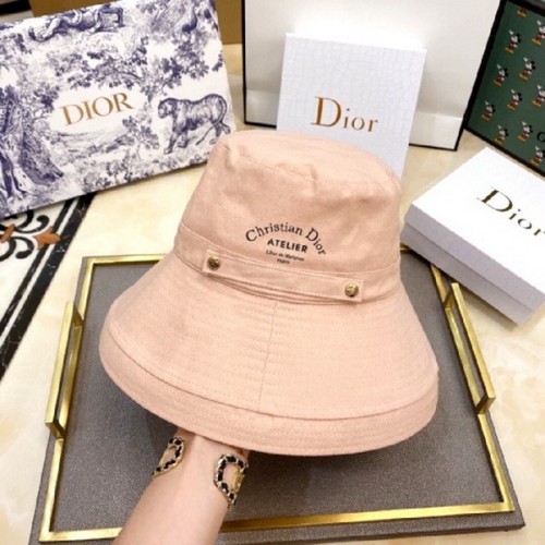 Dior Hats AAA-119