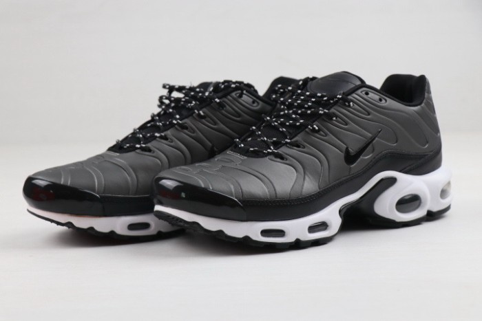 Nike Air Max TN Plus men shoes-957