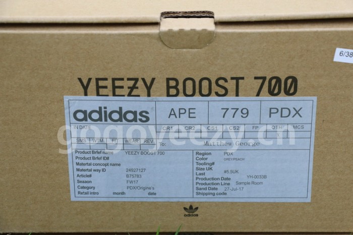 Authentic Kaws x AD Yeezy Wave Runner 700 Boost