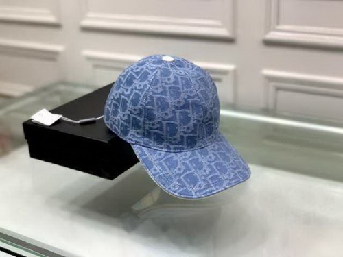 Dior Hats AAA-239