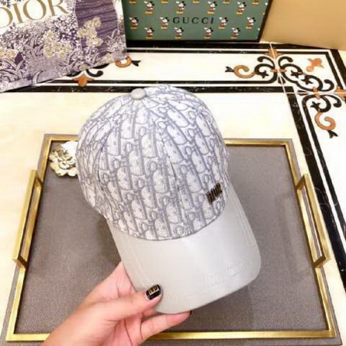 Dior Hats AAA-310