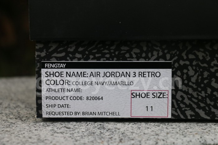 Authentic Air Jordan 3 Michigan