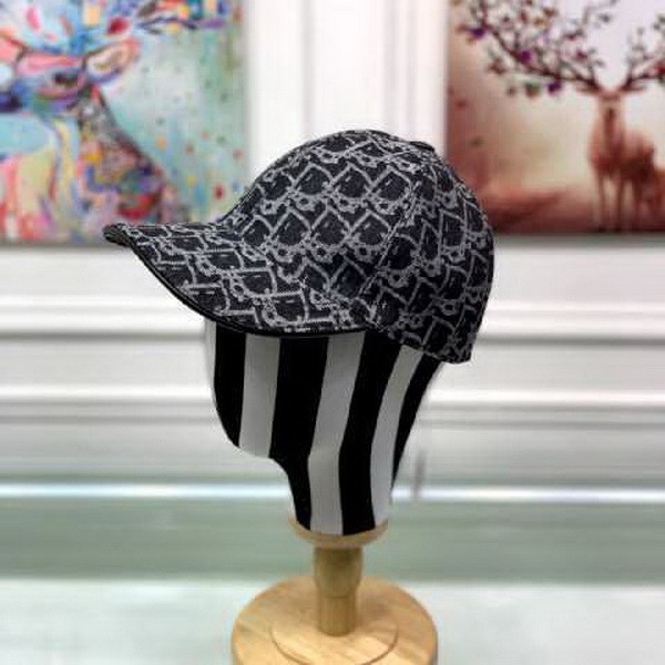 Dior Hats AAA-243