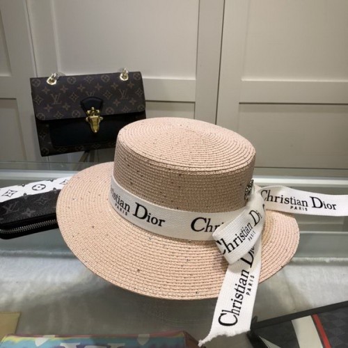 Dior Hats AAA-480