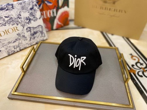 Dior Hats AAA-083