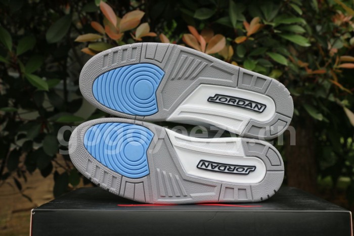 Authentic Air Jordan 3 UNC PE