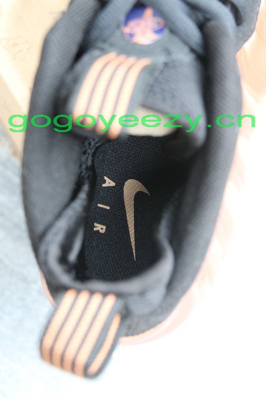 Nike Air Foamposite One “Dirty Copper” 2009