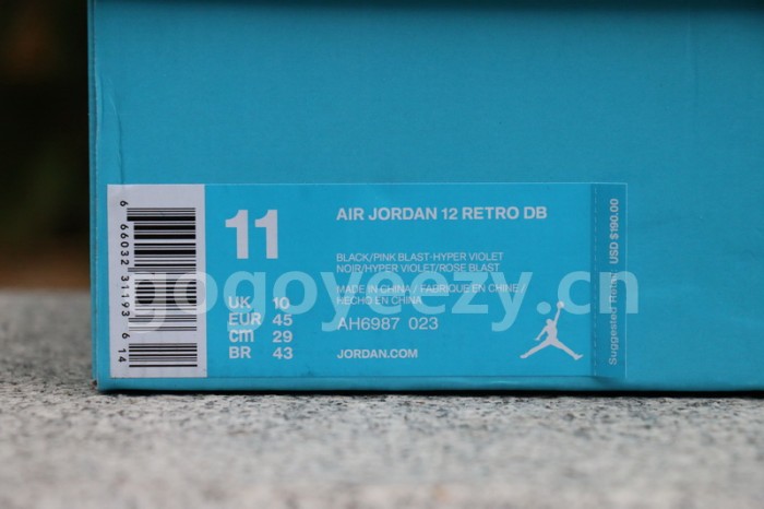 Authentic Air Jordan 12 Doernbecher
