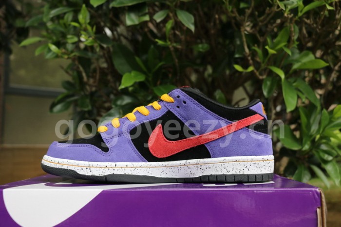 Authentic  Nike SB Dunk Low “ACG”