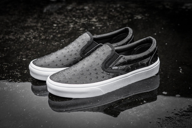 Vans Era Low Top Shoes-239