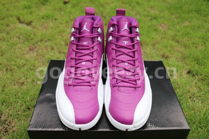 Authenitc Air Jordan 12 Kevin Martin
