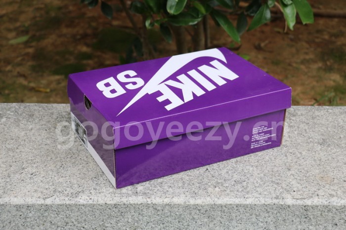 Authentic  Nike SB Dunk Low “ACG”