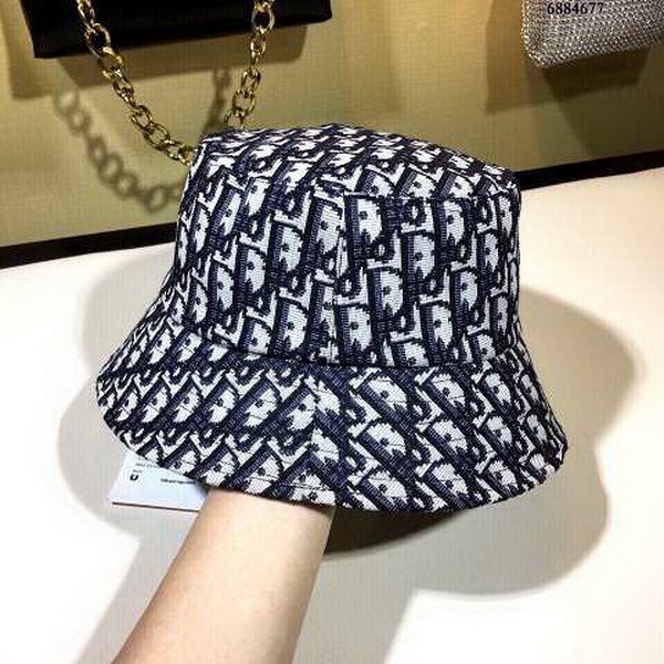 Dior Hats AAA-313