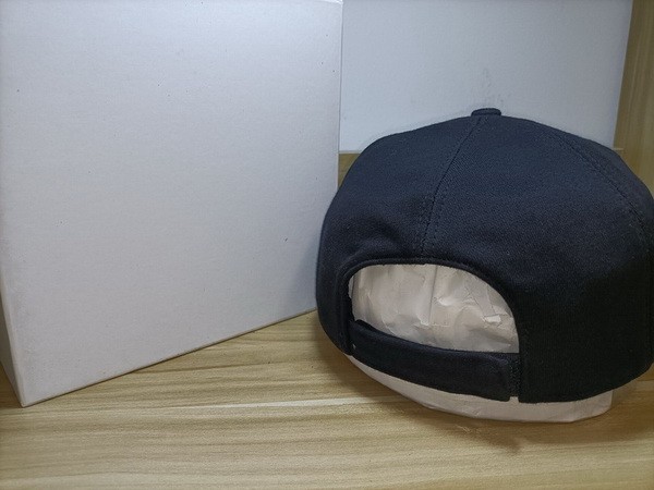 Burrerry Hats AAA-373