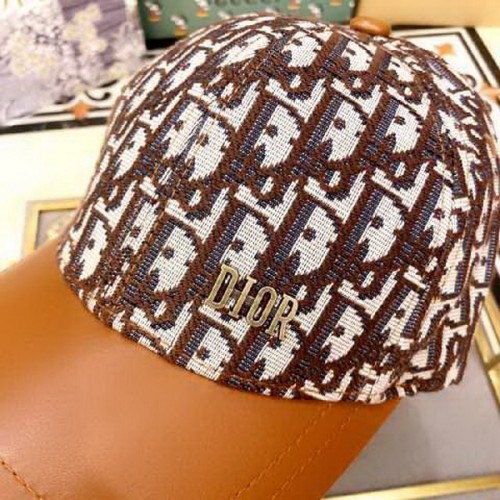 Dior Hats AAA-309
