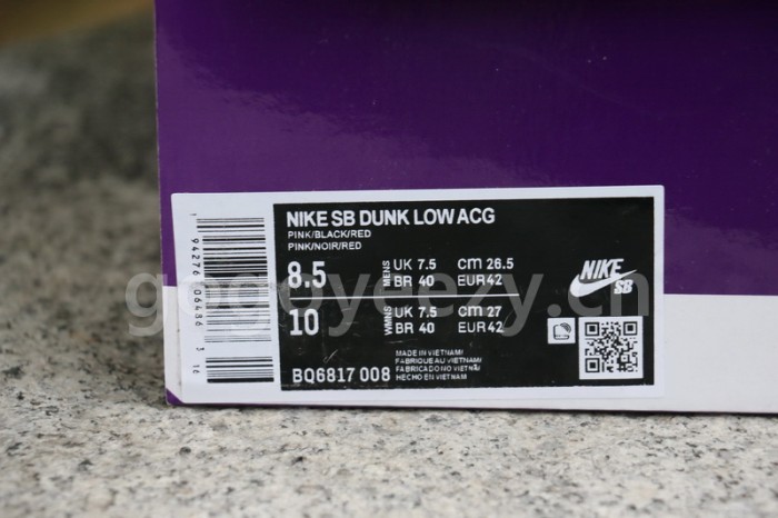 Authentic  Nike SB Dunk Low “ACG”