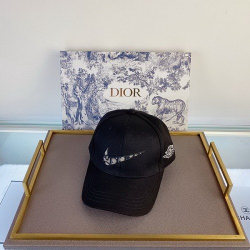 Dior Hats AAA-096