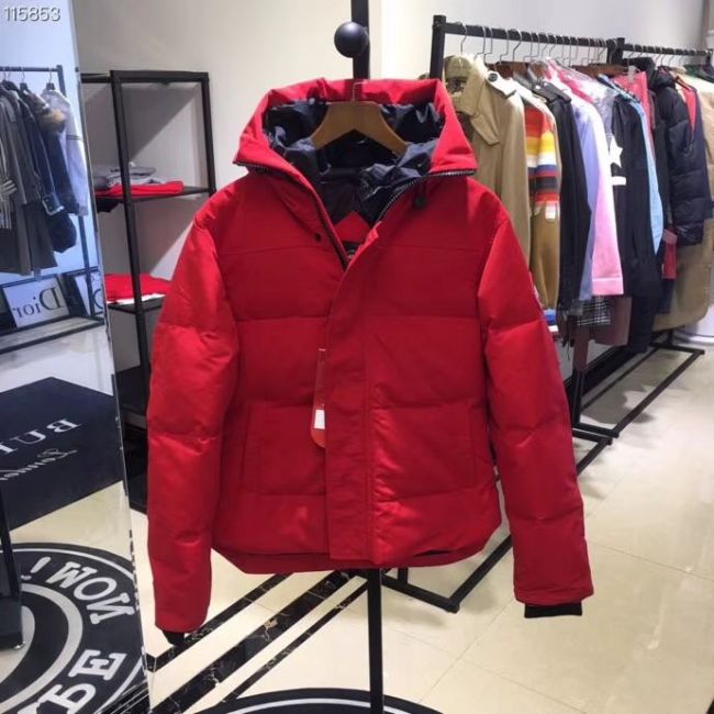 CG Down Jacket men-509