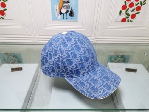 Dior Hats AAA-071