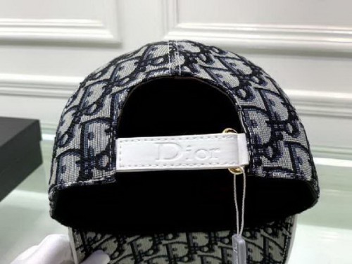 Dior Hats AAA-252