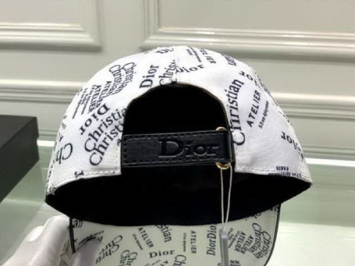 Dior Hats AAA-254