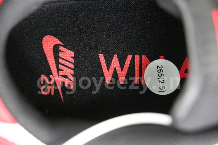 Authentic Nike SB Dunk Low “25th Anniversary”