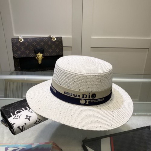 Dior Hats AAA-497