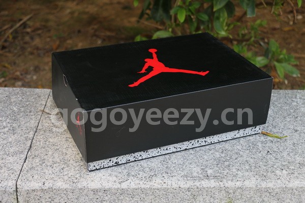 Authentic PSG x Air Jordan 6
