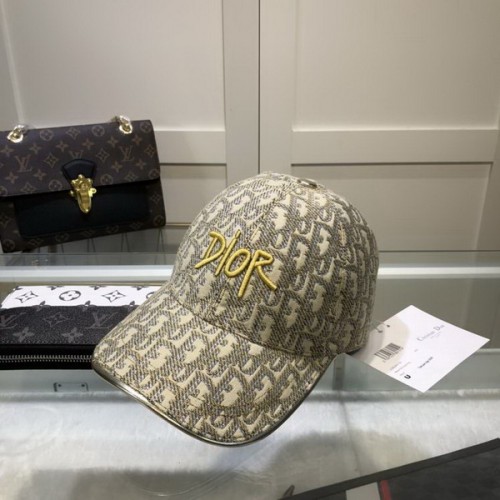 Dior Hats AAA-423