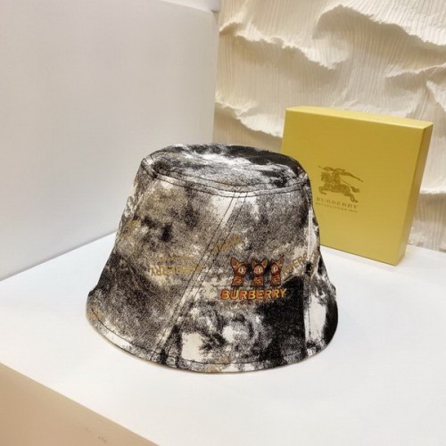 Burrerry Hats AAA-339