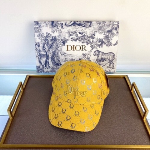 Dior Hats AAA-061