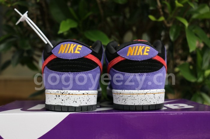 Authentic  Nike SB Dunk Low “ACG”