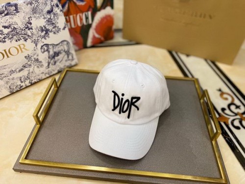 Dior Hats AAA-082