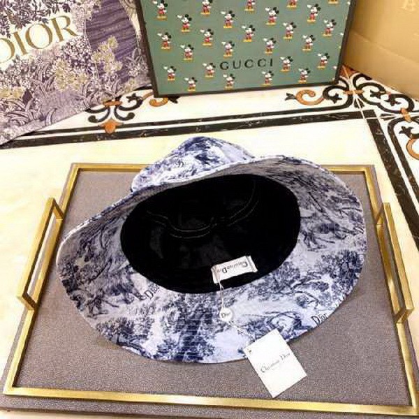 Dior Hats AAA-198