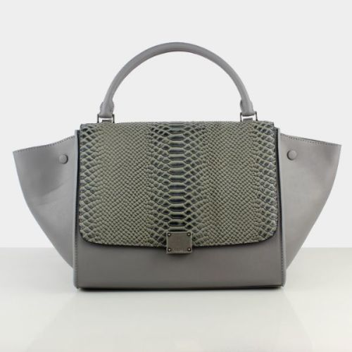 Celine handbags AAA-309