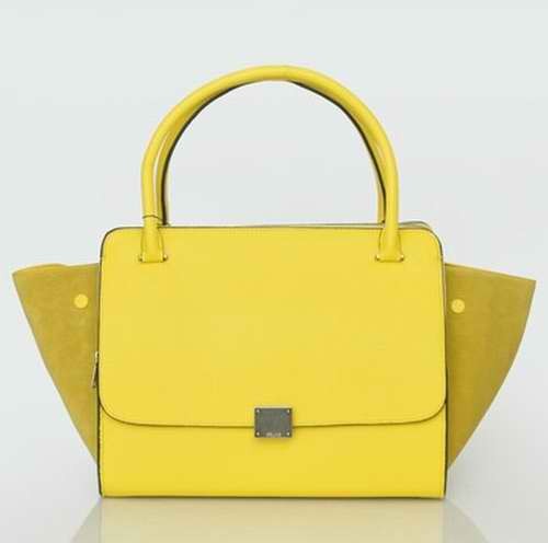 Celine handbags AAA-284