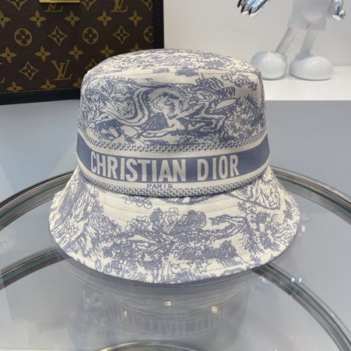 Dior Hats AAA-470
