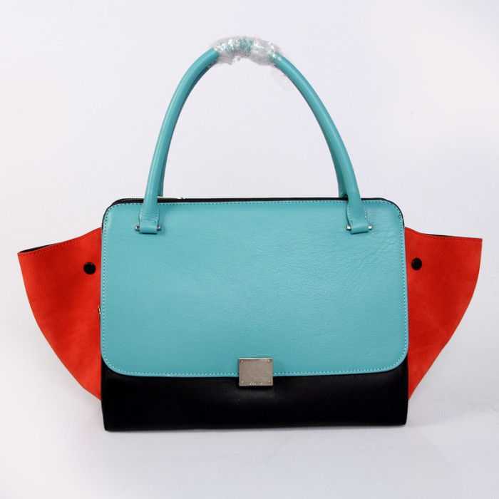 Celine handbags AAA-305