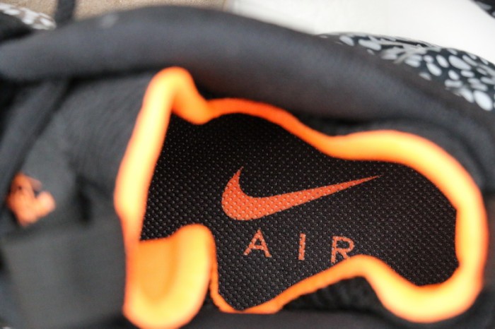 Authentic Nike Air Foamposite One “Safari