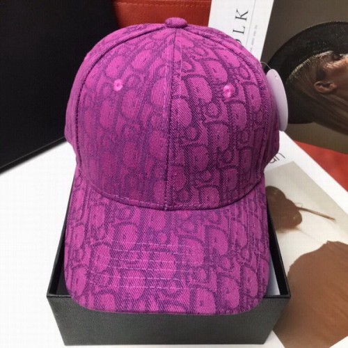 Dior Hats AAA-089